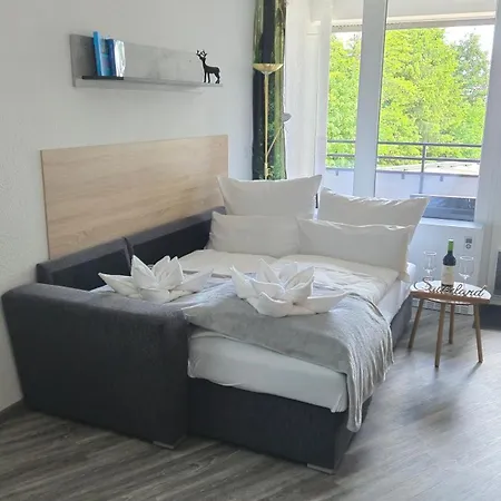 Deluxe Mit Private Sauna * Winterberg