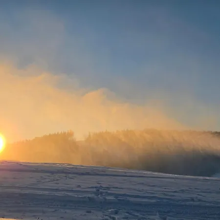 Deluxe Mit Private Sauna Daire *