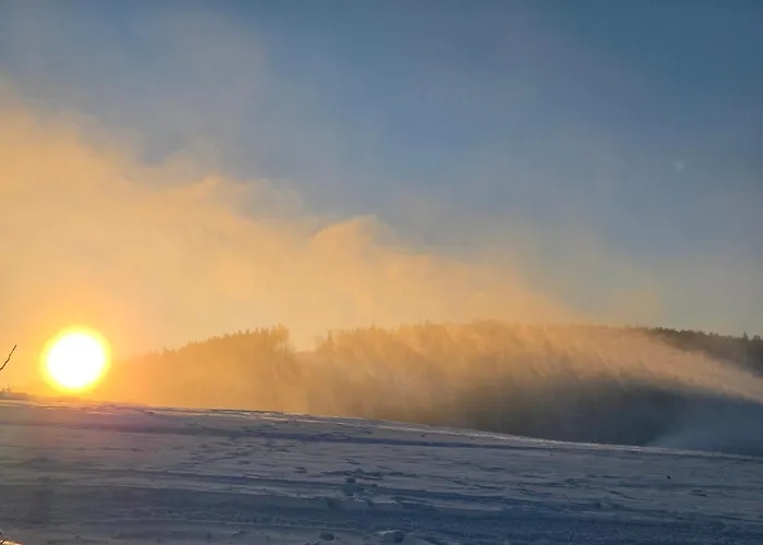 Deluxe Mit Private Sauna Apartment *
